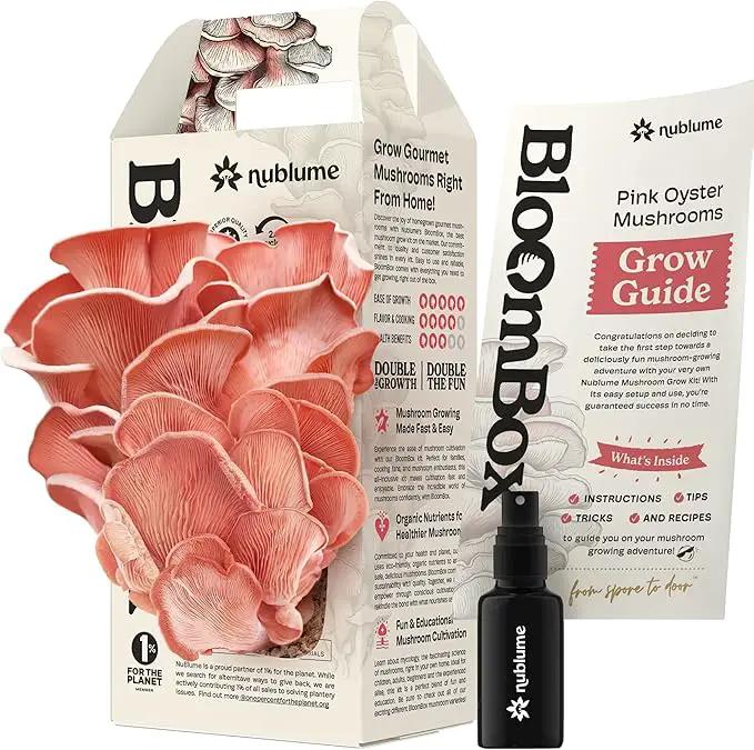 Pink Oyster Mushroom Grow Kit, Grow Your Own Fresh Gourmet Mushrooms at Home, Includes Instructions and Recipes (Pink Oyster) by GreenHaven Gardens