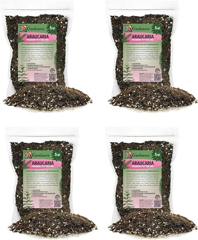 Premium Araucaria Potting Soil Mix - Perfect Balance of Nutrients, Drainage, and Aeration for Healthy Araucaria Trees - 20 Quart by GreenHaven Gardens