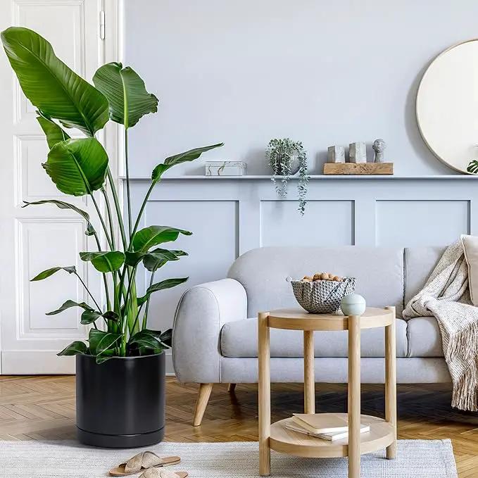 D'vine Dev 8 Inch & 10 Inch Ceramic Planter Pot for Plants with Drainage Hole and Saucer, Large Plant Pots Set, Black, 94-G-L-2 by GreenHaven Gardens