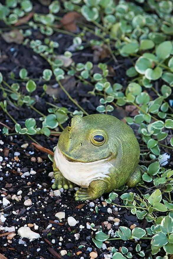 Evergreen Cute Portly Frog Outdoor Statue and Secret Key Holder | Weatherproof and Outdoor Safe | Garden Sculpture | Porch Garage or Patio Home Decor | 6 Inches Tall by GreenHaven Gardens