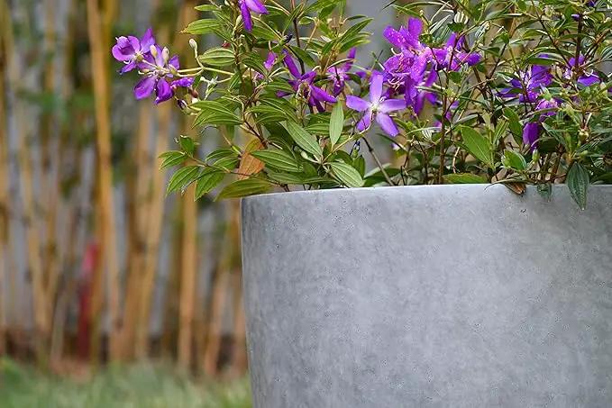 Kante 18 Inch Dia Round Concrete Planter, Indoor Outdoor Large Plant Pot with Drainage Hole and Rubber Plug for Home Patio Garden, Natural Concrete by GreenHaven Gardens