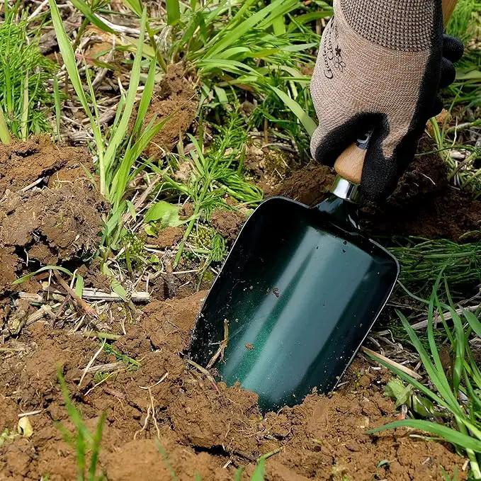 Garden Helper Soil Scoop Garden Tool, Large Loose Soil Scooper Tool for Transplanting and Gardening, Heavy Duty Japanese Steel Balde, Wood Handle, Made in Japan by GreenHaven Gardens