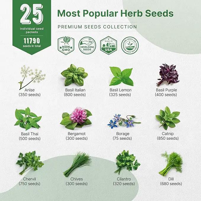 25 Most Popular Herb Seeds Variety Pack - 11,700 Non-GMO Heirloom Seeds for Planting Herbs in Individual Seed Packets for Hydroponic, Indoor & Outdoor Gardening by GreenHaven Gardens
