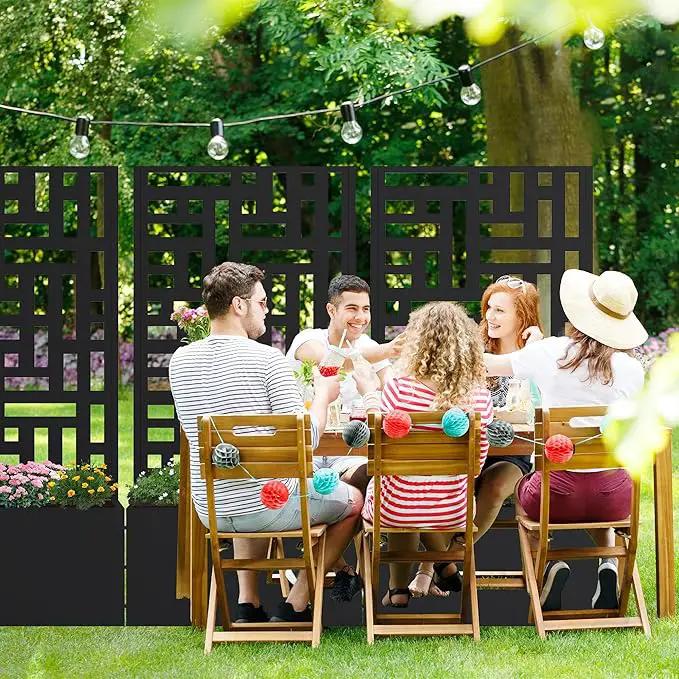 Casaphoria Metal Raised Garden Bed with Trellis, 47"x24"x12" Planter Box for Climbing Plants, Vegetables & Vines, Features Drainage Holes and Privacy Screen (Black-Helen) by GreenHaven Gardens