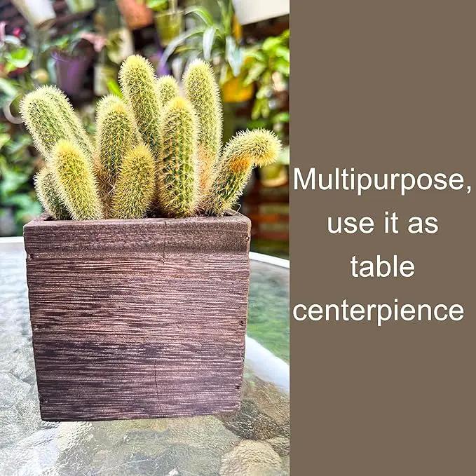 LaLaGreen Wood Planter Boxes (4 Pack, 4x4 Inch) Small Square Wooden Wall Mounted Flower Pot for Indoor Plants, Window Box Mount Hanging Herb Planters Outdoor Plant Holder Vertical Garden Home Decor by GreenHaven Gardens