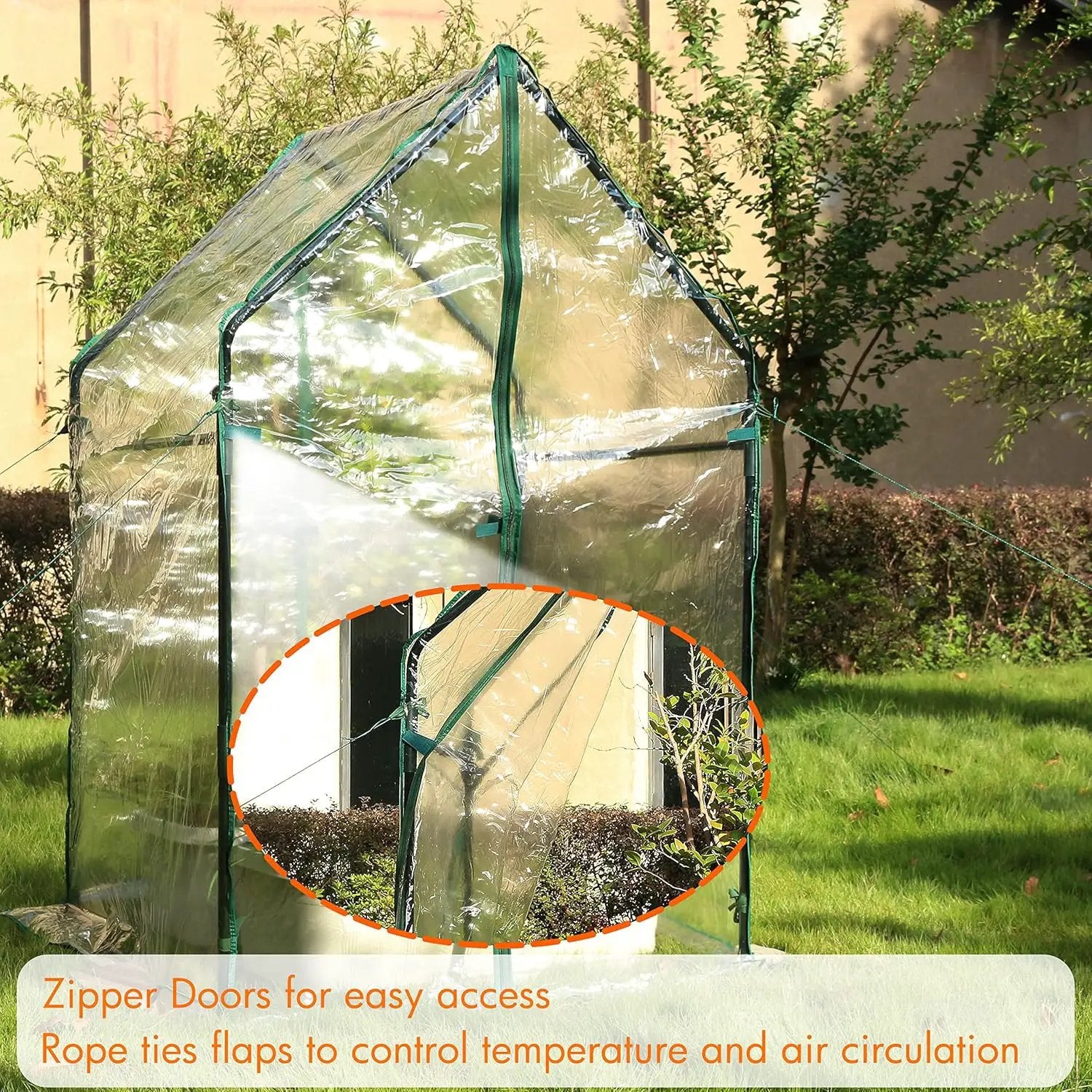 Gardzen Mini Greenhouse Heavy Duty Portable Green House, Clear Tent Small Greenhouse for Indoor Outdoor Plants 36.2”(L) x36.2”(W) x59.5”(H) by GreenHaven Gardens