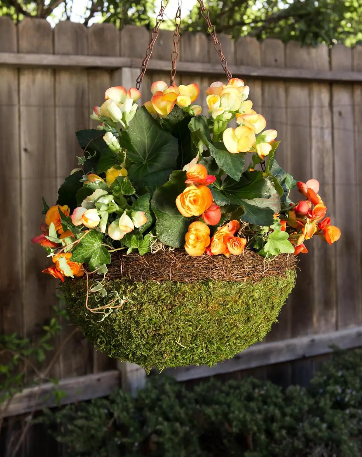 SuperMoss (29205 MossWeave Hanging Basket | Outdoor Hanging Planter with Moss | Decorative Plant Hanger for Porch, Balcony, Garden & Home Décor, Round with Wicker Rim, Large 16.5” D, Green by GreenHaven Gardens