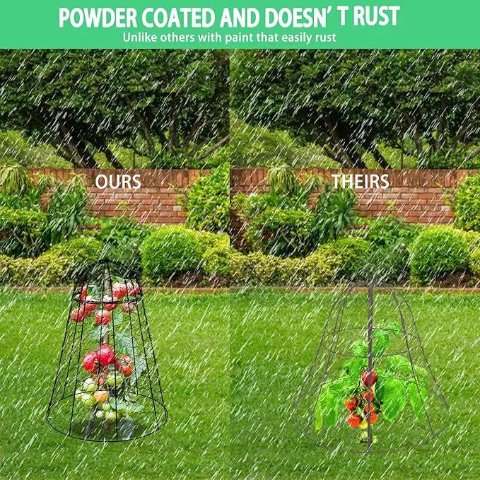 Garden Cloches for Plants Extra Large Sapbontchi Garden Cloche Chicken Wire Cloche for Plants Cages Cover Plant Protectors from Animals in Outdoor Vegetable Garden Set of 6 Plant Cloche 20" H x 12" D by GreenHaven Gardens