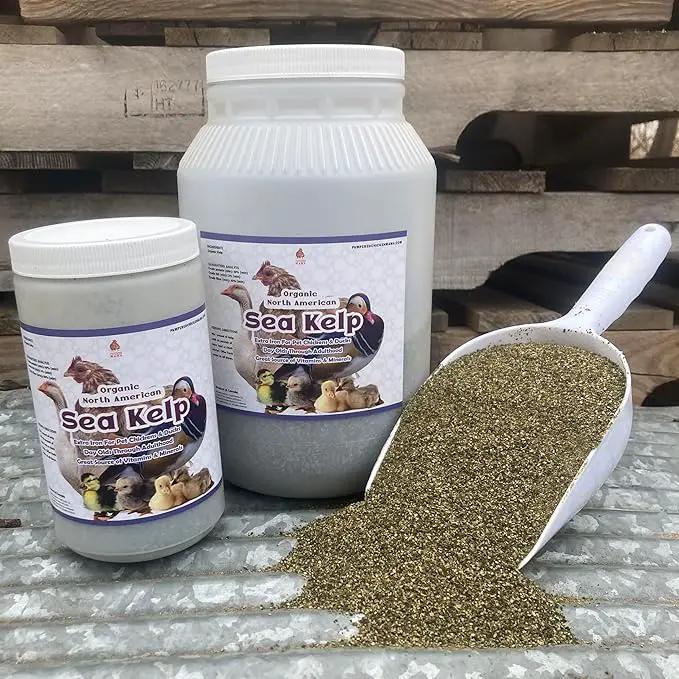 Organic Kelp for Chickens & Duck Feed (5 Pound): Chicken Vitamins | Chicken Supplements | Vitamins for Chickens | Pampered Chicken Mama by GreenHaven Gardens