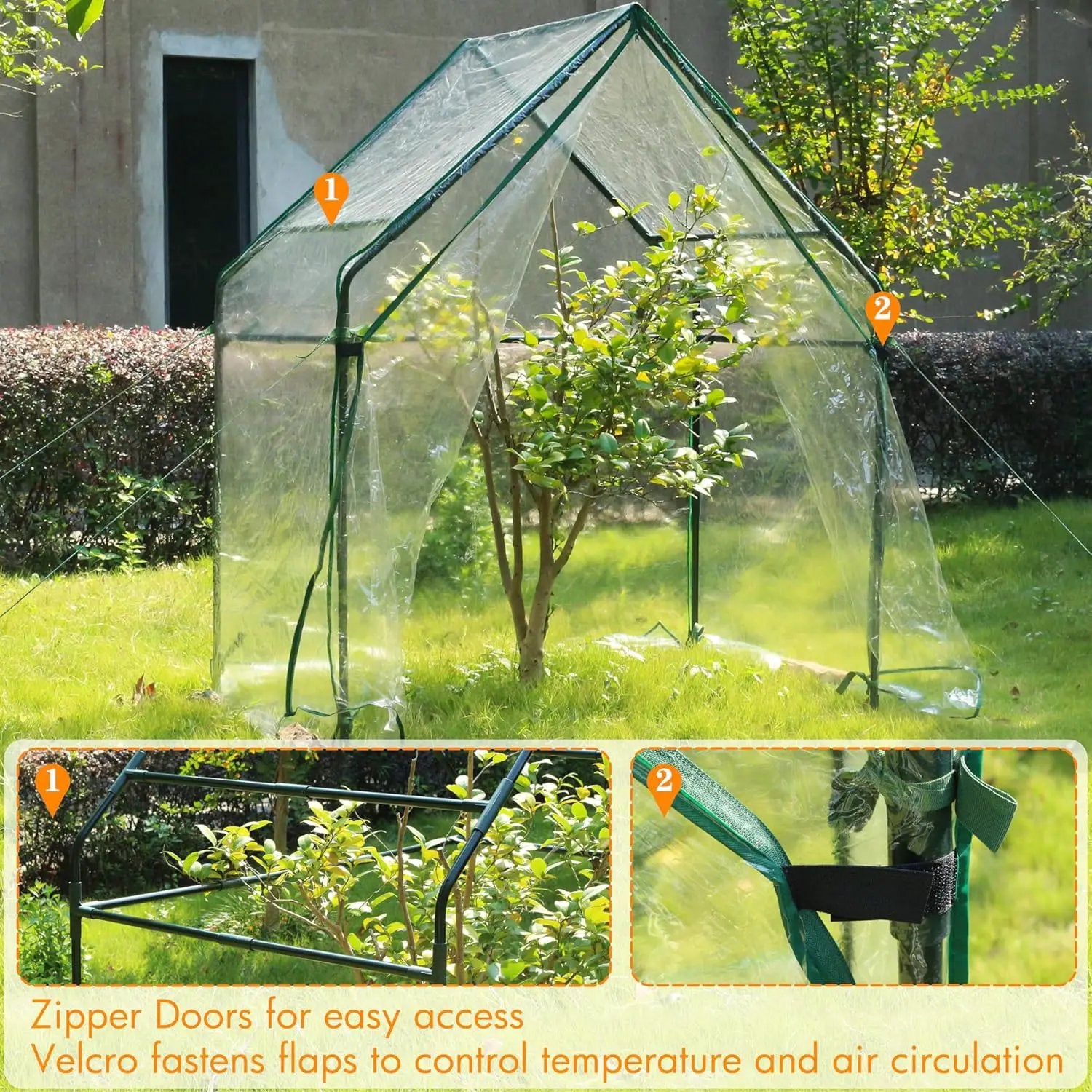 Gardzen Mini Greenhouse Heavy Duty Portable Green House, Clear Tent Small Greenhouse for Indoor Outdoor Plants 36.2”(L) x53.3”(W) x66.1”(H) by GreenHaven Gardens