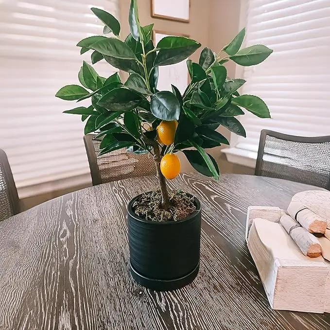 6 Inch Plant Pots, Ceramic Planter Pot with Drainage Hole & Saucer, Indoor/Outdoor Cylinder Round Planter Pot, Matte Black by GreenHaven Gardens