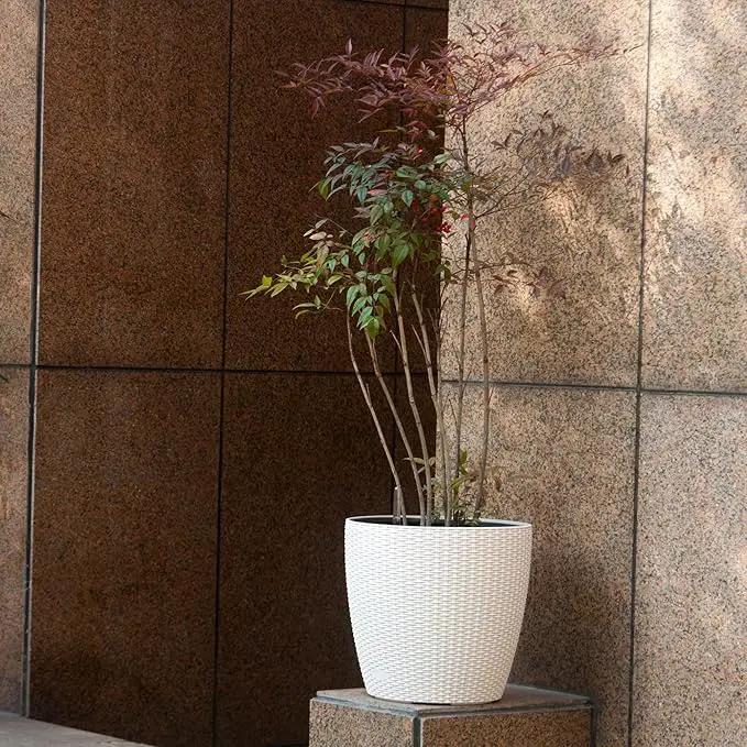 Dexceder 15x14 Rattan Self Watering Planter with Wheels Indoor Outdoor, Inner Pot Design, Thickened Large Floor Standing Flower Plant Pot with Water Level Indicator (Ivory White) by GreenHaven Gardens