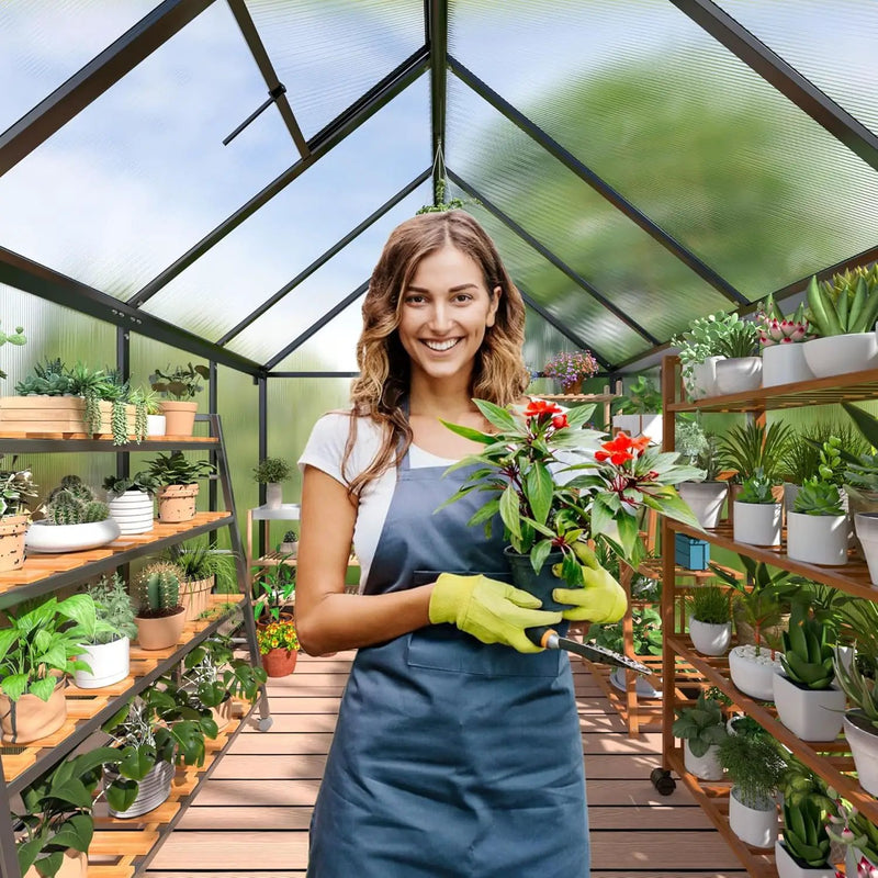 Polar Aurora 6x8 FT Greenhouse, Quick Aluminum Assembly Structure Polycarbonate Greenhouse, Walk-in Greenhouses for Outdoors with Ventilated Windows, Green Houses for Outside Backyard Garden by GreenHaven Gardens