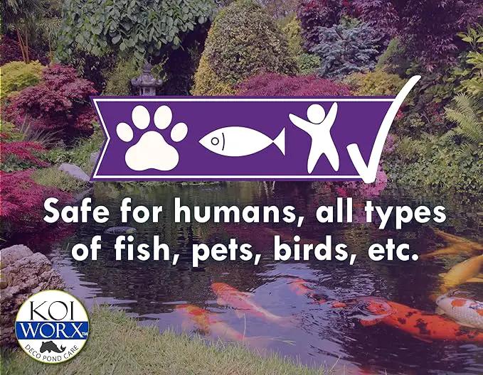 KoiWorx Defoamer - 32oz- Removes Foam from Decorative and Ornamental Ponds, Safe for Koi by GreenHaven Gardens