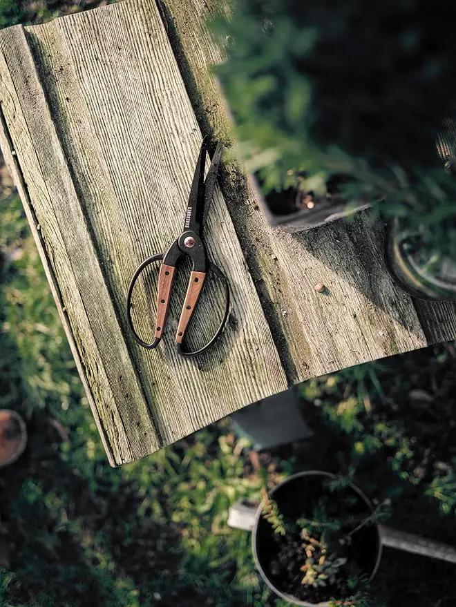 Barebones Garden Scissors - Walnut Scissors - Garden Supplies and Indoor Plant Accessories - Plant Shears with Wide Handles - Comfortable Fit Hand Pruners (Large) by GreenHaven Gardens