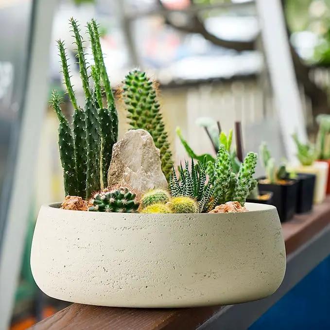 Olly & Rose Large Ceramic Planter Bowl Shallow Plant Pot - Off White Cream Ivory Flower Pot Indoor and Outdoor Decorative Bowl Garden and Home Décor by GreenHaven Gardens
