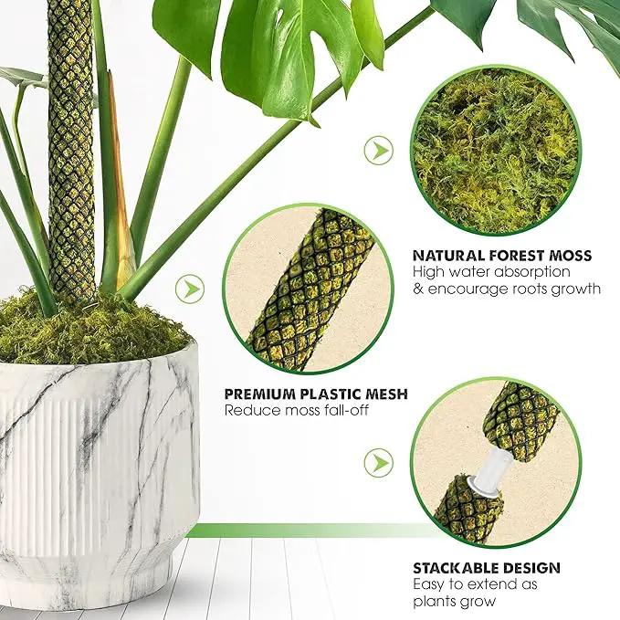 DUSPRO Stackable Mesh Moss Pole for Plants Monstera Potted Plant Stakes for Indoor Plants Extendable Plant Pole Moss Sticks for Plants Climbing Vine Supporting Monstera Trellis 2 Pcs 22'' by GreenHaven Gardens