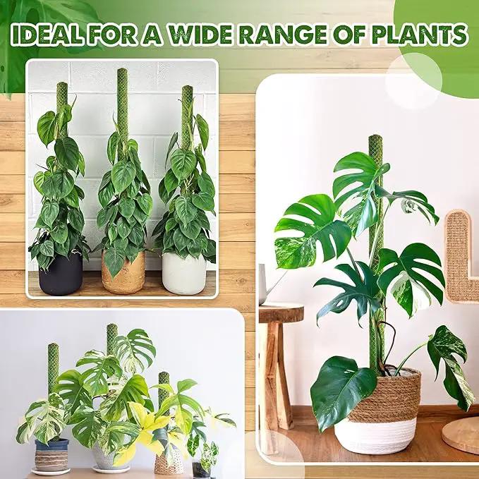 DUSPRO Green Stackable Mesh Moss Pole for Plants Climbing Vine Supporting Monstera Trellis, for Indoor Plants Extendable Plant Pole Moss Sticks, for Plants Monstera Potted Plant Stakes 2 pcs 22'' by GreenHaven Gardens