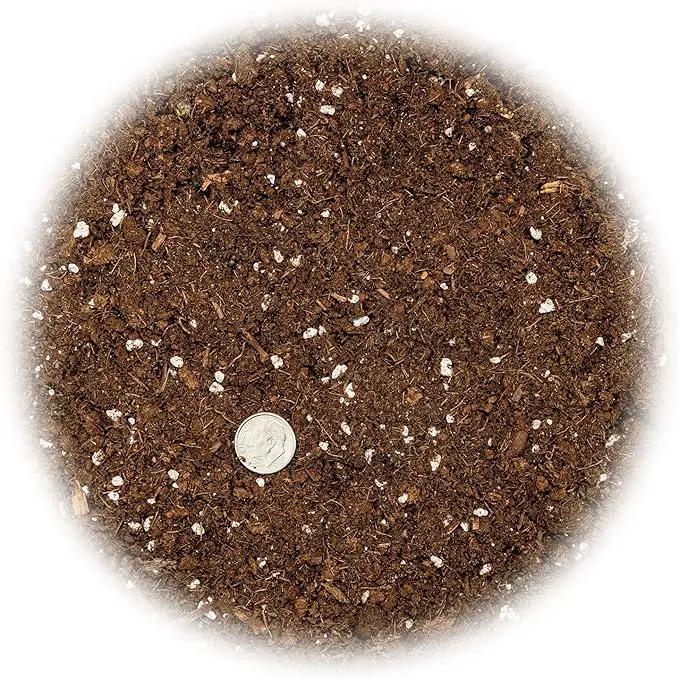 Money Tree Potting Soil, Soil Mix for Planting or Repotting Guiana Chestnut, Soil Blended to Properly Grow Money Tree Plants - (1 Quart Bag) by GreenHaven Gardens