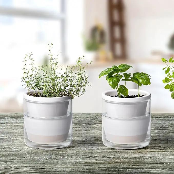 D'vine Dev 4 Inch Design Self Watering Planter for Indoor Plants, White Terracotta Pots with Cylinder Glass Cup, Set of 2, 37-Y-A-2 by GreenHaven Gardens