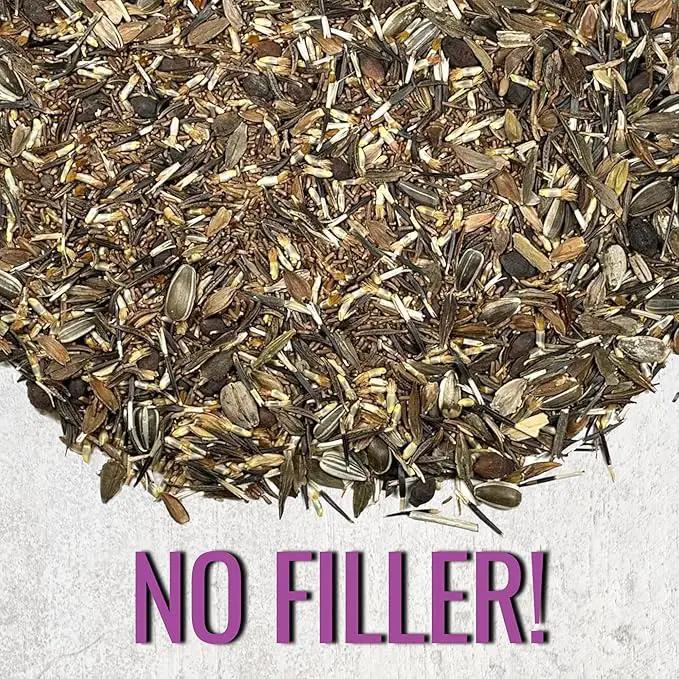 Seed Needs Garden Flower Seeds Large Blooms Mix Hummingbird and Butterfly | 10 Packs (1 Ounce Each) No Filler 7 Varieties Open Pollinated | Resealable Package Live Wild Flower Seed | Bulk by GreenHaven Gardens
