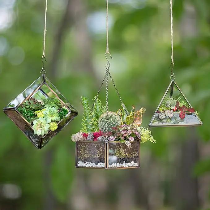 Deco Glass Geometric DIY Terrarium, Succulent & Air Plant- Hanging Mini Hexagon Shaped for Indoor Gardening Decor- Create Your own Flower, Fern, Moss Centerpiece- Amazing Holiday and Wedding Gift by GreenHaven Gardens