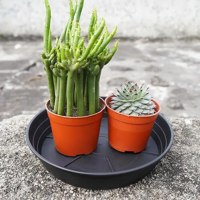 4 Packs 6 Inches Plant Saucer Drip Trays, Round Plastic Plant Pot Saucers Flower Pot Tray for Indoor Outdoor by GreenHaven Gardens
