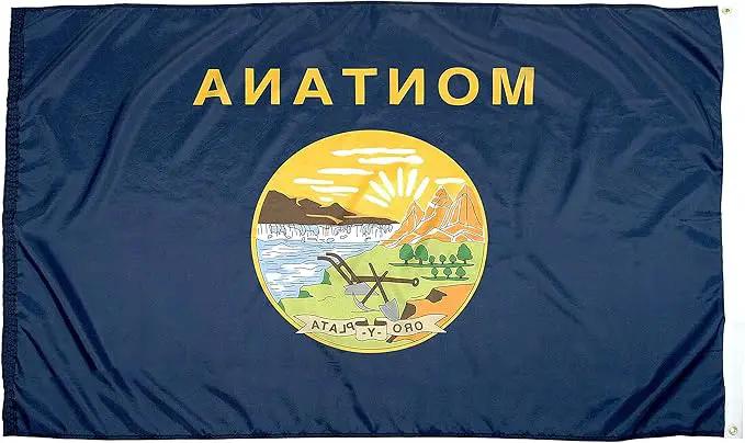 FlagSource Montana Nylon State Flag, Made in the USA, 3x5' by GreenHaven Gardens