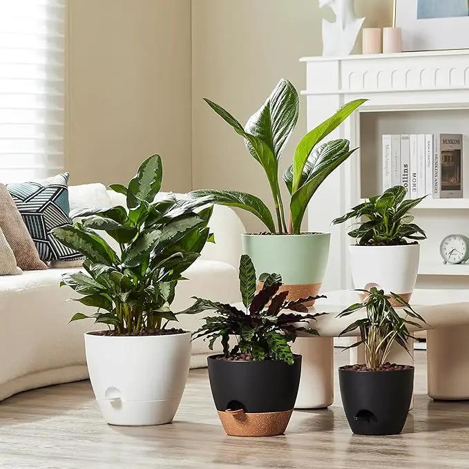 FaithLand 3-Pack Large Planter Pots, 12 10 9 Inch Self Watering Flower Pots for Indoor Outdoor Garden Plants, Black with Brown by GreenHaven Gardens