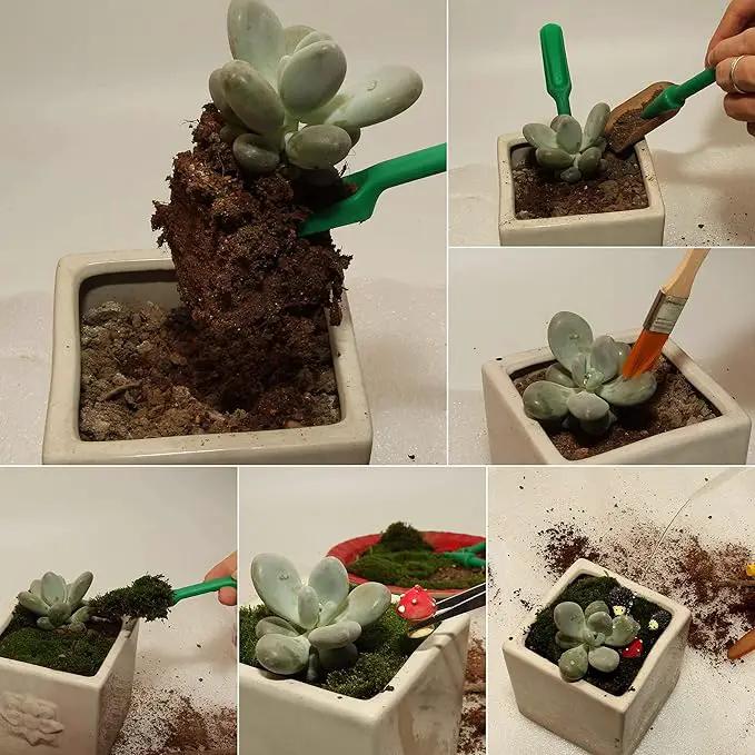 Ginsco 7pcs Succulent Transplanting Miniature Fairy Garden Planting Gardening Hand Tools Set by GreenHaven Gardens