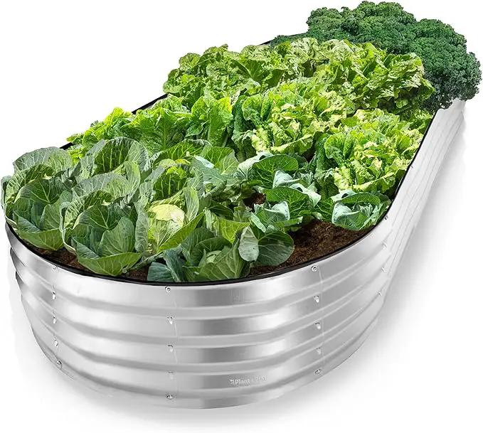 Galvanized Raised Garden Beds Outdoor // 8×4×1 ft Planter Raised Beds for Gardening, Vegetables, Flowers // Large Metal Garden Box // Patented Tool-Free Design (Silver) by GreenHaven Gardens