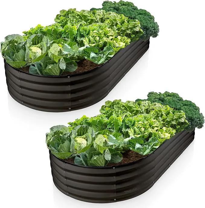 Galvanized Raised Garden Beds Outdoor // 6×3×1 ft (2-Pack) Planter Raised Beds for Gardening, Vegetables, Flowers // Large Metal Garden Box // Patented Tool-Free Design (Black) by GreenHaven Gardens
