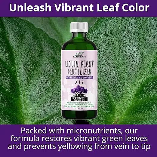 3-1-2 African Violet Fertilizer for Indoor Plants: Liquid Fertilizer with Essential Micronutrients Drops - Plant Food for African Violets (32 OZ) by GreenHaven Gardens