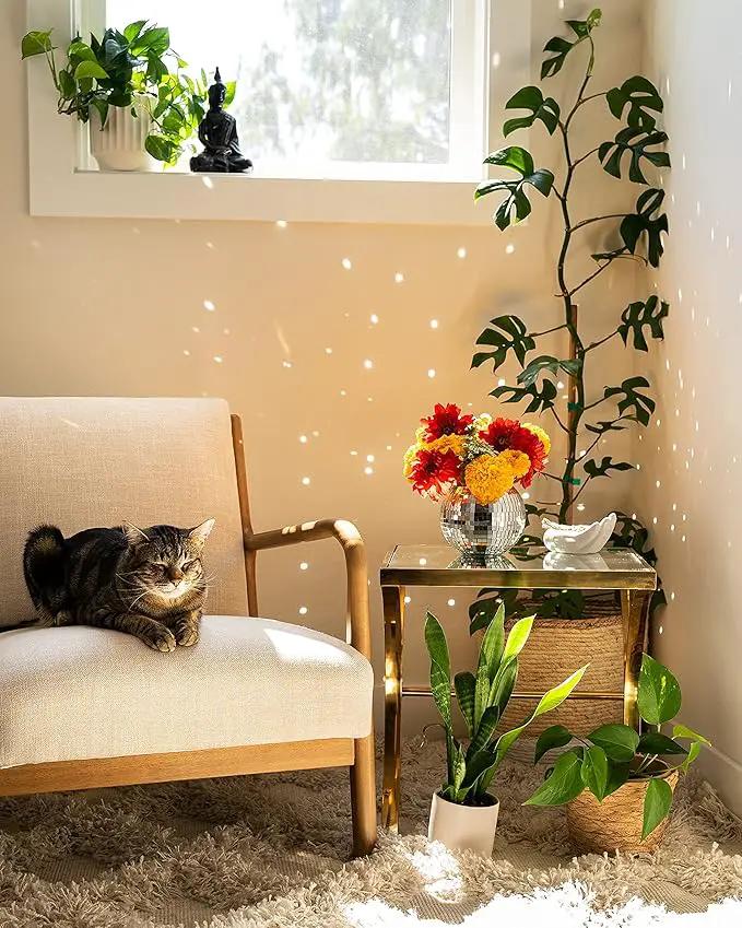 Hanging Disco Ball Planter 8" - with Acrylic Stand and Macrame Plant Hanger - Home Décor, Room Décor, Mirror Disco Planter, Disco Decor (6" with Black Hanger, Flat Base) by GreenHaven Gardens