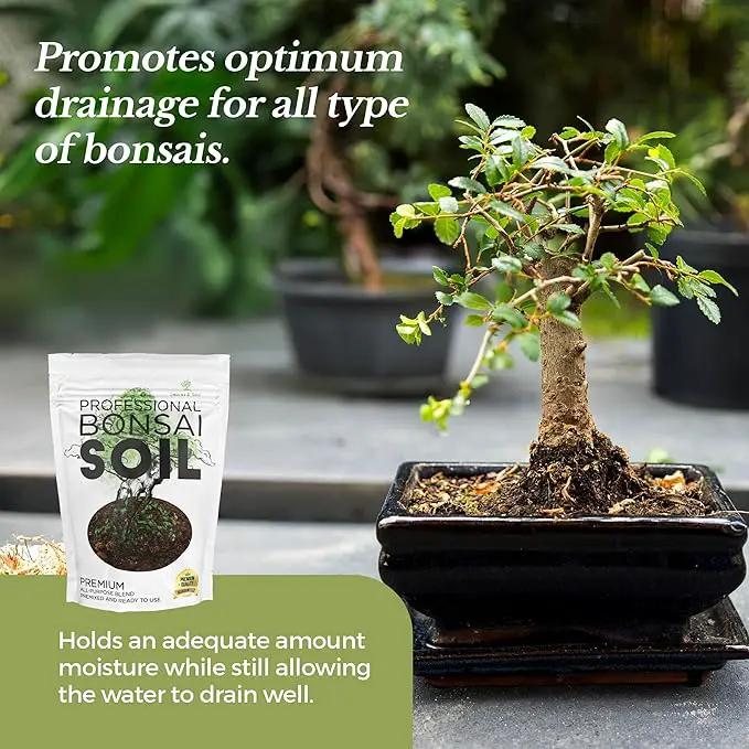 Large Bonsai Soil Premium All Purpose Blend | Pre-Mixed Ready to Use for Plant Support and Fast Drainage | Lava, Limestone Pearock, Calcined Clay and Pinebark | Extra Large 8.2 Quarts | Made in USA by GreenHaven Gardens