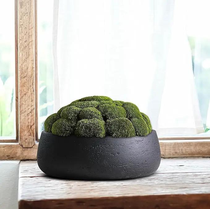 Olly & Rose Copenhagen Large Ceramic Planter Bowl Shallow Plant Pot - Matt Black Flower Pot Indoor and Outdoor Garden Décor… by GreenHaven Gardens
