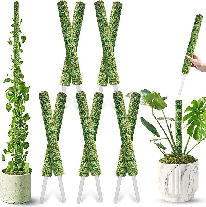 DUSPRO 10Pcs 22'' Green Stackable Mesh Moss Pole for Plants Climbing Vine Supporting Monstera Trellis, for Indoor Plants Extendable Plant Pole Moss Sticks, for Potted Plant Stakes by GreenHaven Gardens
