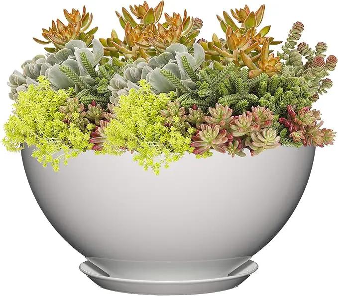 Classic Home and Garden Premiere Collection Planter, Rosie 10", Stark White by GreenHaven Gardens