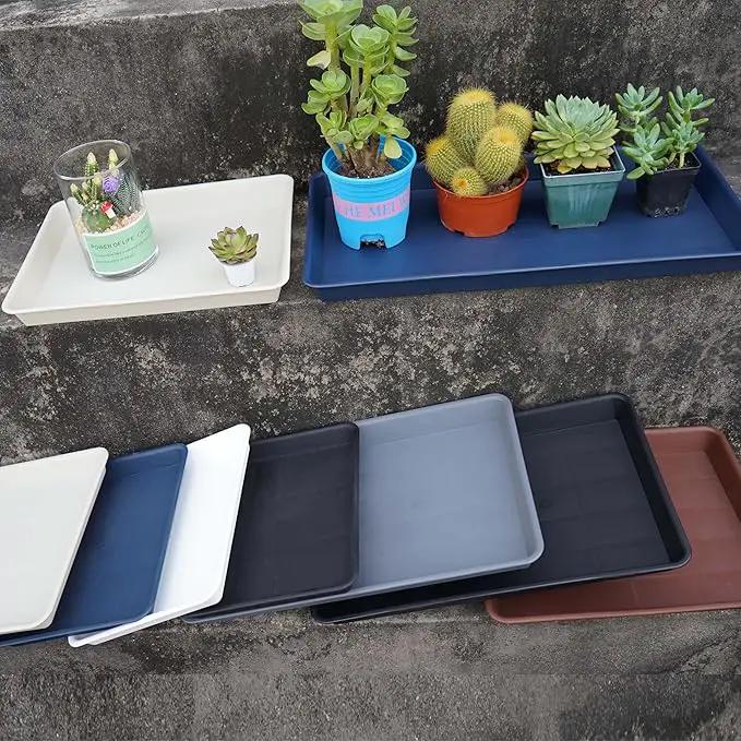 Plant Growing Trays 2 Pack, Plant Tray, 14.5"x11", Heavy Sturdy Plastic Plants Saucer, Seedling Starter Trays, Seed Starter Growing Tray (Black) by GreenHaven Gardens