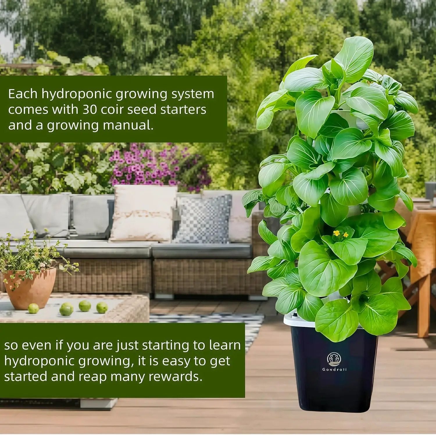 Hydroponic Growing System,Hydroponic Vertical Garden,Indoor Smart hydroponic Vegetable System, 30 Pods,Plant Germination kit with Pump System, Auto Timer, Beginner kit by GreenHaven Gardens