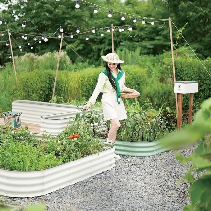DaisyVibe Raised Garden Bed Kit, Planter Raised Garden Boxes Outdoor, Oval Large Metal Raised Garden Beds for Vegetables Flowers (White, 8ftx2ftx1ft) by GreenHaven Gardens