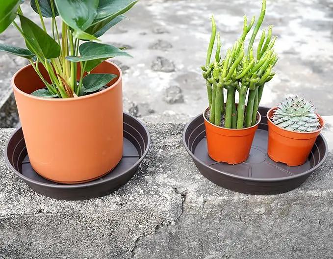 Plant Saucer 14 Inch 2 Pack 6 8 10 12 14 16 18 20 25, Plastic Plant Trays for Pots，Extra-Deep Plant Water Dray Tray, Bird Bath Bowl, Heavy Flower Plant Saucers Indoors and Outdoor No Holes by GreenHaven Gardens