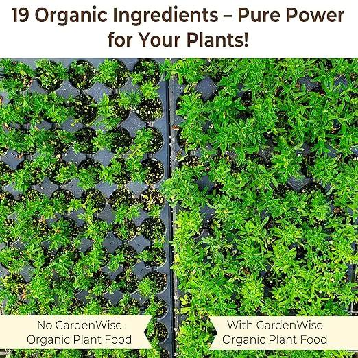 Organic Liquid Plant Food for Indoor Houseplants – All Purpose Fertilizer for Potted Plants, Vegetables, Succulents, Orchids, Roses – Miracle Growth with Mycorrhizae (16 oz) by GreenHaven Gardens