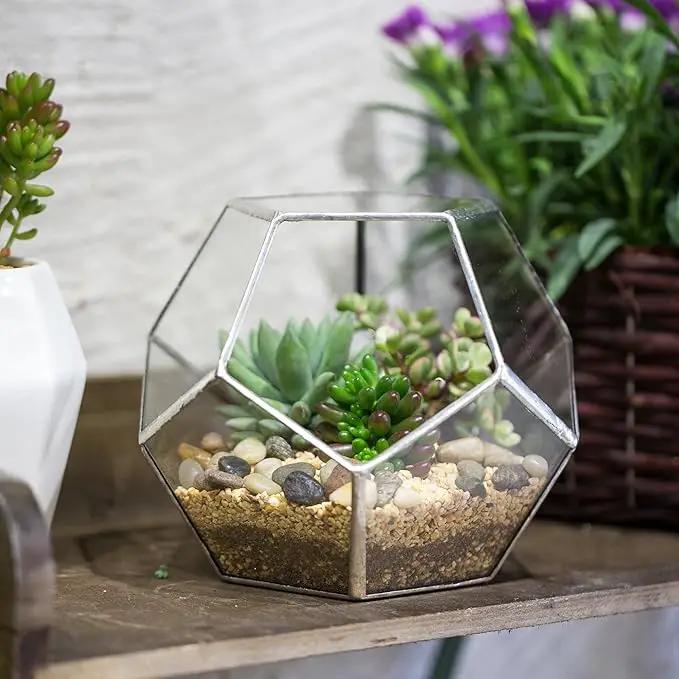 NCYP Small Silver Glass Geometric Terrarium for Succulents Air Plants, 6.89 x 6.89 x 5.9 Inches, Indoor Home Garden Planter Pot, Tabletop Decor Centerpiece, Handmade (Only Terrarium) by GreenHaven Gardens