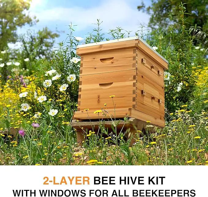 CREWORKS 10 Frame Bee Hive, 2 Layers Beeswax Coated Beehive Starter Kit with Frames & Foundations, Langstroth Bees Hives Box with Transparent Acrylic (Window Medium Box & Deep Box) by GreenHaven Gardens