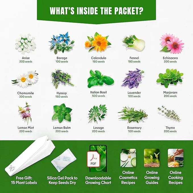 15 Medicinal & Herbal Tea Seeds Variety Pack Home Garden Kit Plant Markers 2950+ Non-GMO Heirloom Indoor Hydroponic Outdoors Planting Herb Anise Basil Calendula Fennel Mint Rosemary Lavender Chamomile by GreenHaven Gardens