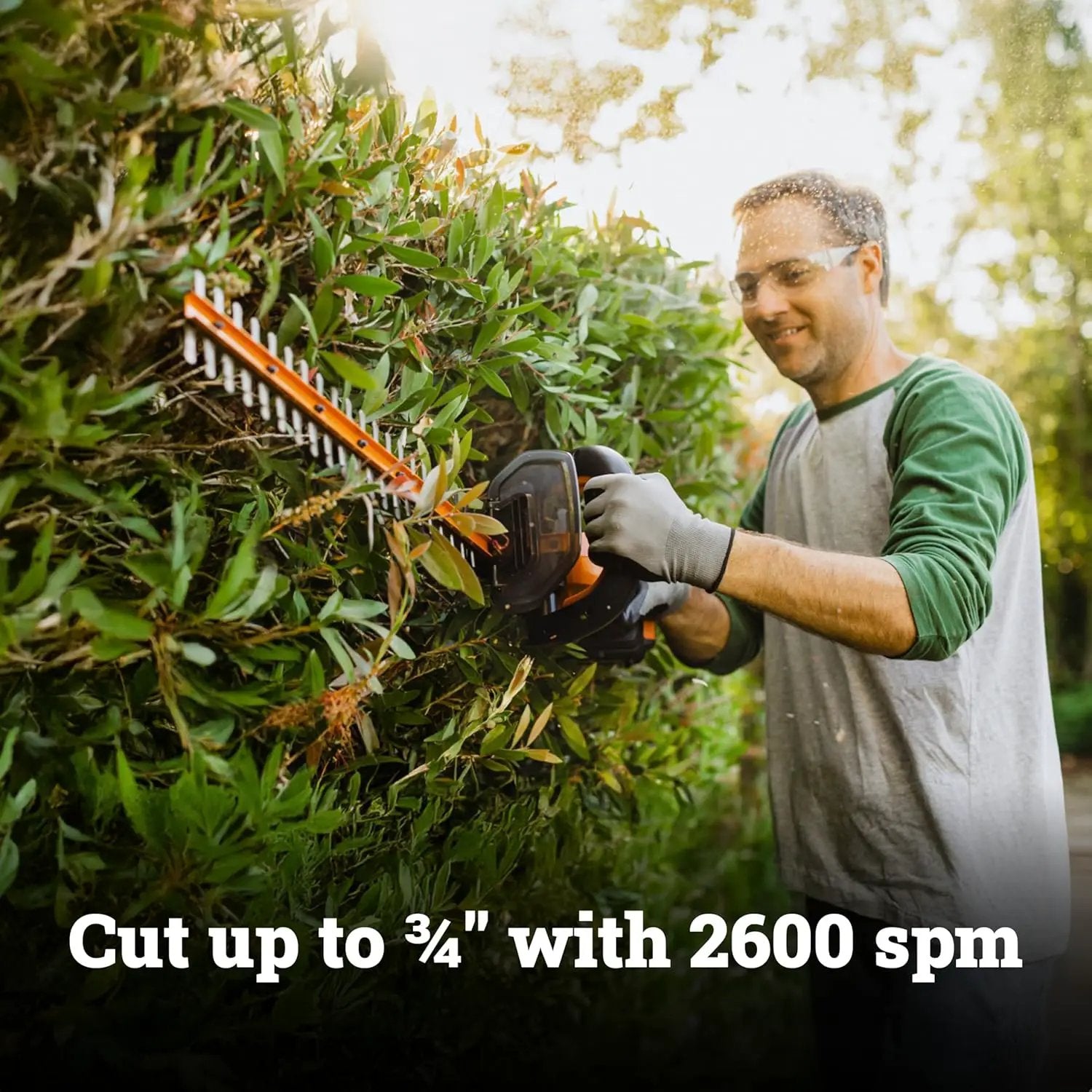 WORX WG261.9 22" 20V Cordless Hedge Trimmer, Battery & Charger Not Included by GreenHaven Gardens