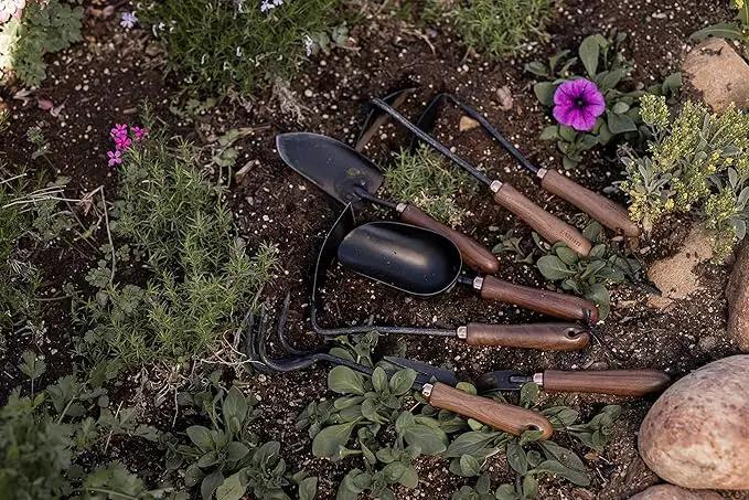 Barebones Dandelion Weeding Fork - Gardening Hand Tools - Japanese Hand Weeder, Weed Puller, and Weed Remover Tool (Walnut/Black) by GreenHaven Gardens