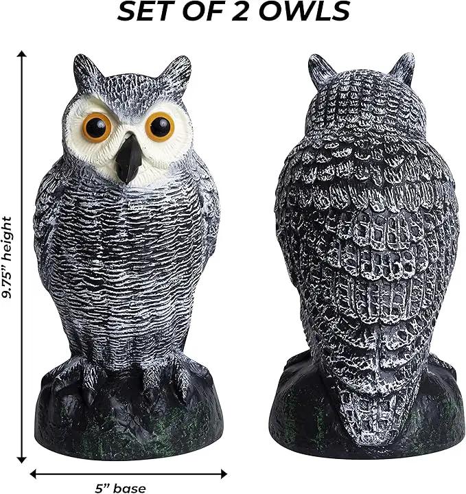 Galashield Owl Decoy to Scare Birds Away | Plastic Owls to Scare Birds Away | Owl Statue for Garden & Outdoors [Set of 2] by GreenHaven Gardens