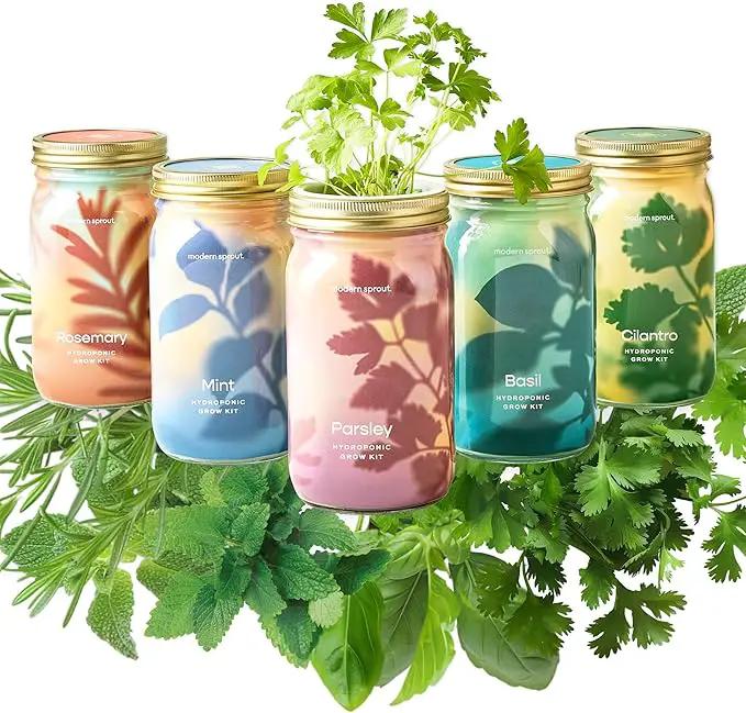 Modern Sprout New & Improved Mason Jar Grow Set, Indoor Herb Garden, Seed Starter Set, Organic Seeds, Hydroponic Growing (Basil + Mint + Parsley + Cilantro + Rosemary) by GreenHaven Gardens